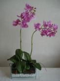 flores artificial