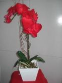 flores artificial